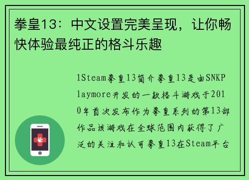 拳皇13：中文设置完美呈现，让你畅快体验最纯正的格斗乐趣